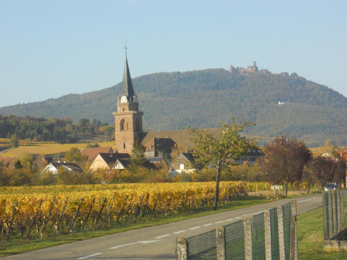 Le Winzer Apartment Bergheim Bagian luar foto