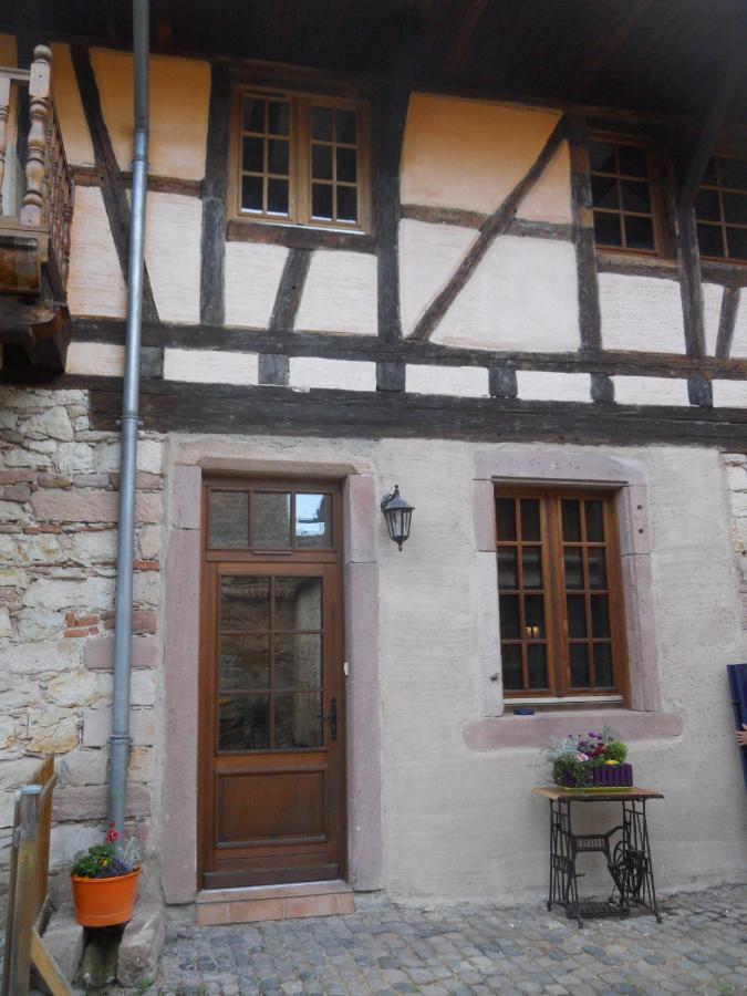 Le Winzer Apartment Bergheim Bagian luar foto